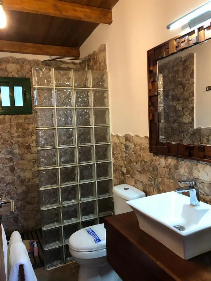 Los Viejitos En Firgas Holiday home Spain