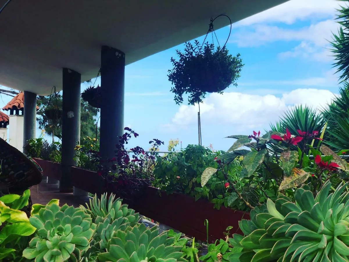 Los Viejitos En Firgas Holiday home