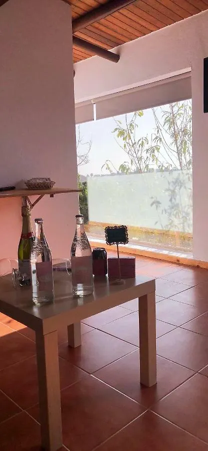 Los Viejitos En Firgas Holiday home