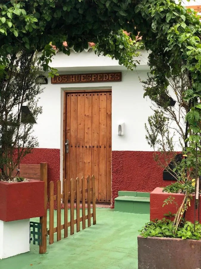 Los Viejitos En Firgas