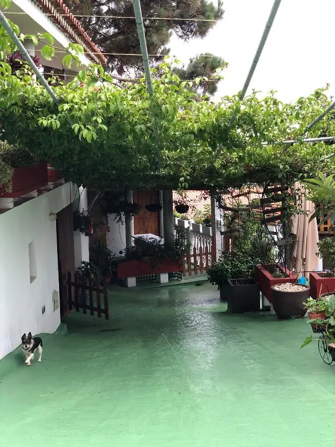 Los Viejitos En Firgas Holiday home Spain
